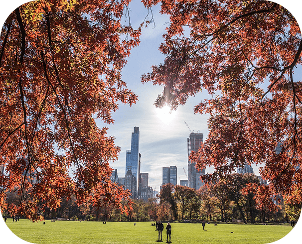 Why choose us - Professional team collaboration