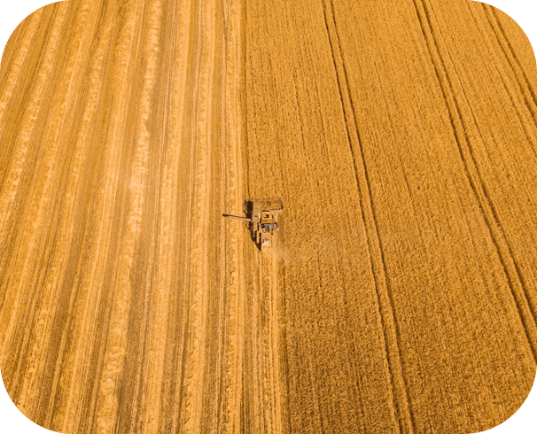 Why choose us - Professional team collaboration