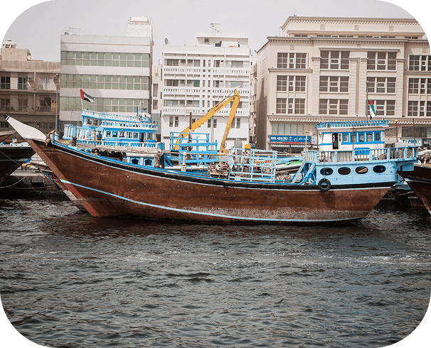 Why choose us - Professional team collaboration