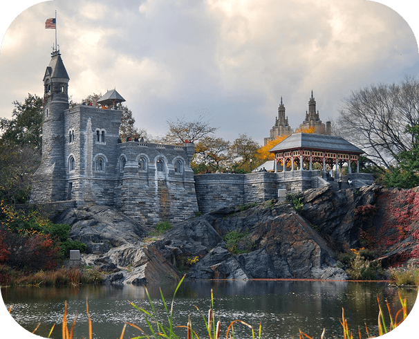 Why choose us - Professional team collaboration